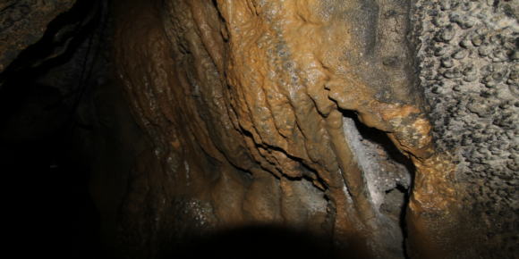 猿田洞を探検する