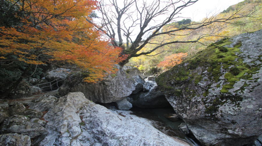 岩屋川渓谷の紅葉